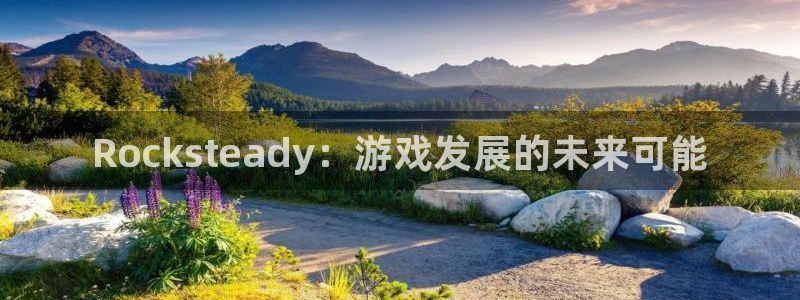 赢咖娱乐注册地址：Rocksteady：游戏发展的未来可能