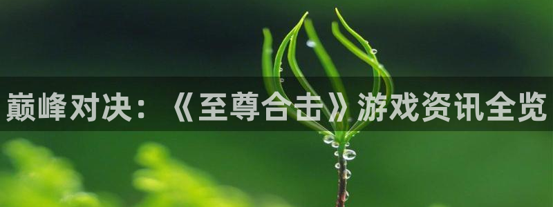 赢咖娱乐科技：巅峰对决：《至尊合击》游戏资讯全览