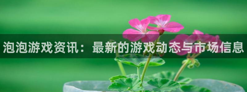 赢咖娱乐4主管：泡泡游戏资讯：最新的游戏动态与市场信息