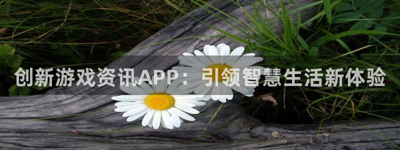 赢咖娱乐平台负责人：创新游戏资讯APP：引领智慧生活新体验