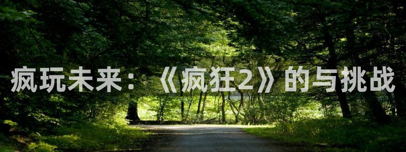 赢咖娱乐：疯玩未来：《疯狂2》的与挑战