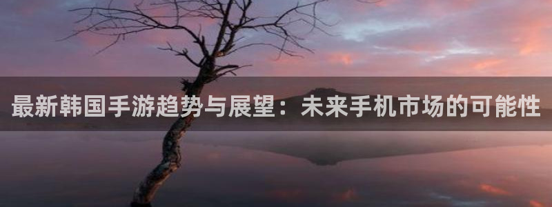 赢咖娱乐平台注册开户：最新韩国手游趋势与展望：未来手机市场的