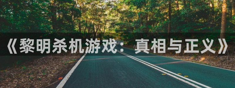 赢咖娱乐线路测试：《黎明杀机游戏：真相与正义》