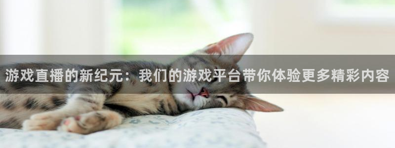 赢咖娱乐科技:游戏直播的新纪元:我们的游戏平台带你体验更多精