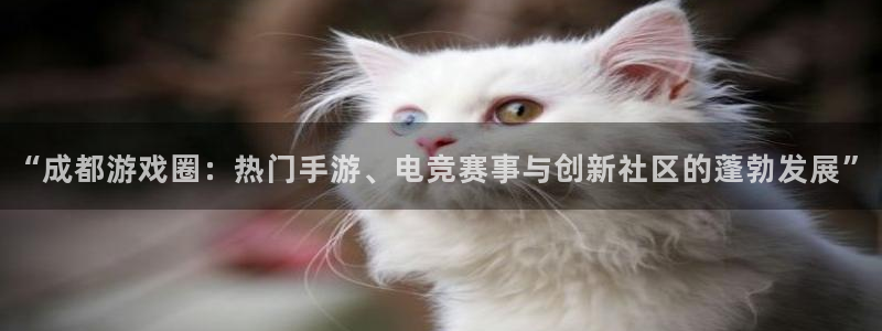 赢咖娱乐平台:“成都游戏圈:热门手游、电竞赛事与创新社区的蓬