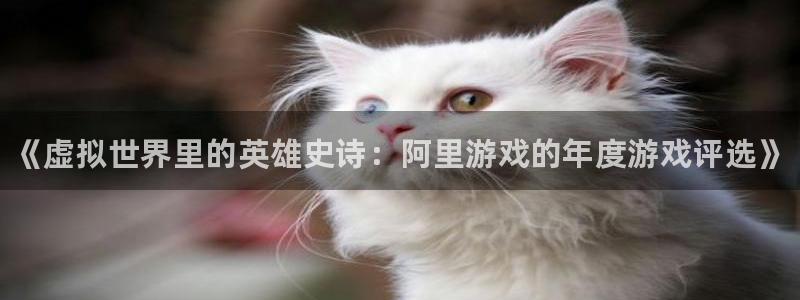 赢咖娱乐平台登录:《虚拟世界里的英雄史诗:阿里游戏的年度游戏