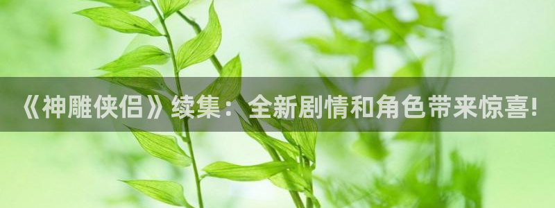 赢咖娱乐代理登陆：《神雕侠侣》续集：全新剧情和角色带来惊喜!