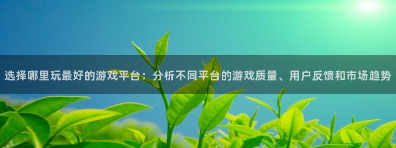 赢咖娱乐平台:选择哪里玩最好的游戏平台:分析不同平台的游戏质