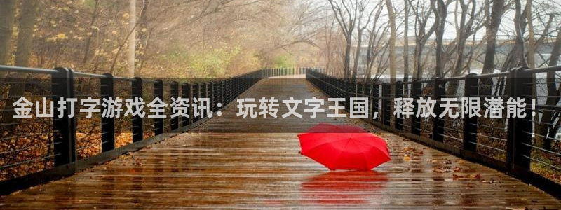 赢咖娱乐注册开户：金山打字游戏全资讯：玩转文字王国，释放无限